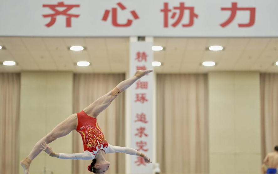 乐鱼体育网页登录的会员权益详解