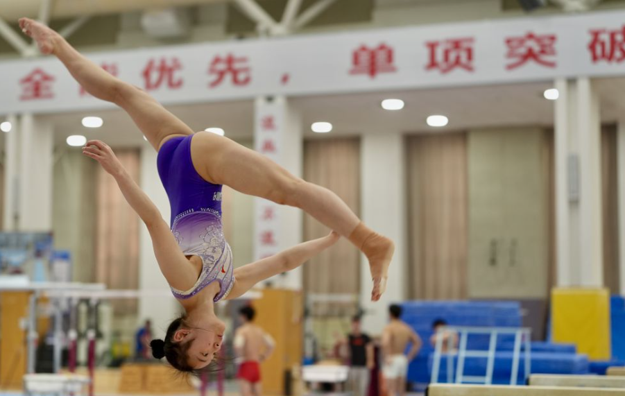 乐鱼体育手机应用介绍